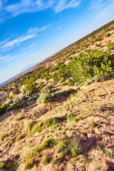 青い空に対する砂や緑の植物の一般的な角度の垂直砂漠のショット — ストック写真