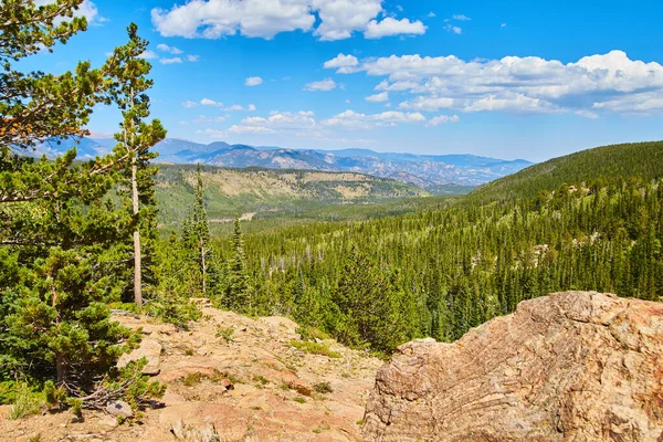 Вид на горный ландшафт, заполненный соснами и камнем на переднем плане — стоковое фото
