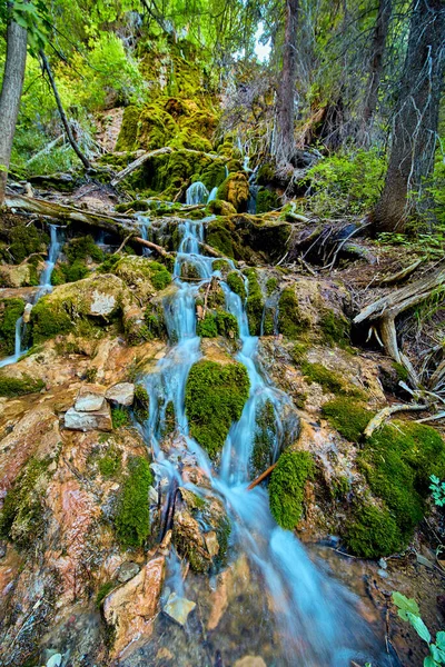 Vodopád stékající po skalách a mechu v malebné lesní scéně — Stock fotografie
