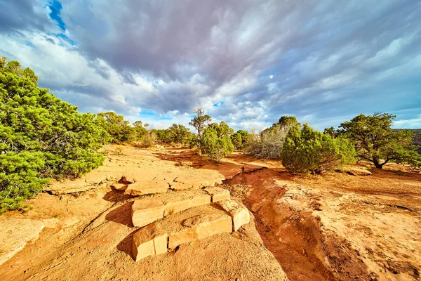 Каменные ступени в пустыне, окруженные зелеными кустарниками — стоковое фото