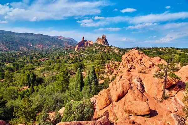 Paisagem vista montanha com árvore solitária em rochas vermelhas em montanhas do deserto — Fotografia de Stock
