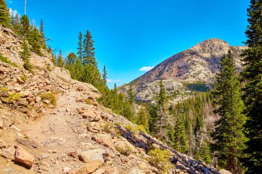 Çam ağaçları ve mavi gökyüzü ile dağda yürüyüş yolu