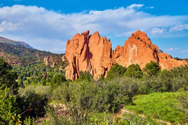 Çöl bitkilerinin manzarası ve büyük kırmızı kaya sütunları.