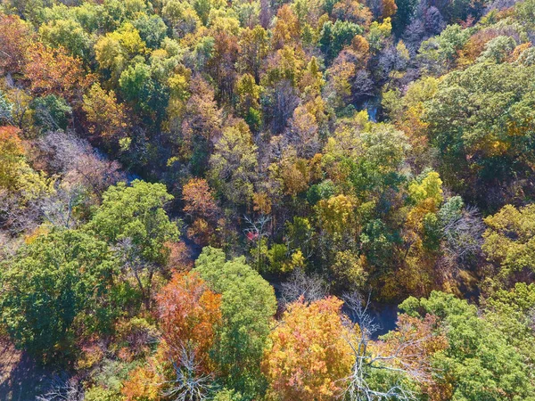 Bosque aéreo de otoño con árboles verdes, amarillos, naranjos y rojos — Foto de Stock