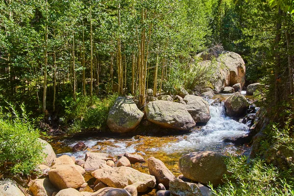 Rapids rivier met grote rotsblokken en aspen bomen — Stockfoto