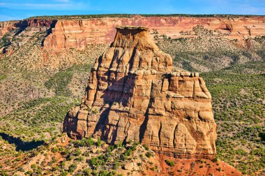 Çöldeki kanyondaki büyük kırmızı kaya sütunu yemyeşil çalılarla dolu.