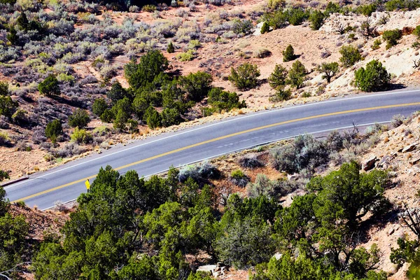 Estrada através do deserto com arbustos verdes — Fotografia de Stock