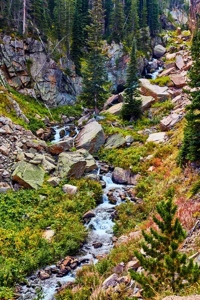 Річка вниз по горах з валунами і сосновими деревами і пишним зеленим — стокове фото