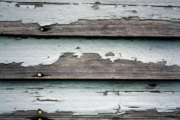 Pintura blanca desgastando el revestimiento de madera de un fondo de granero —  Fotos de Stock