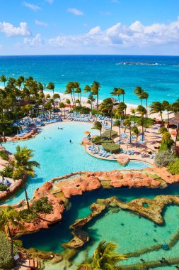 Havuz, palmiye ağaçları ve vahşi yaşam ile Karayip tatil beldesinden manzara