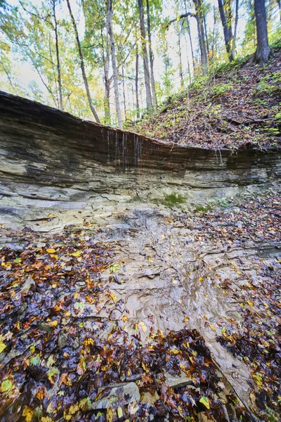 Hojas de otoño por pequeña cascada goteando sobre pizarra de roca —  Fotos de Stock