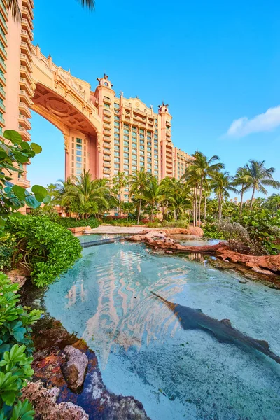 Akvaryumdaki kılıçbalıkları tropik bölgelerdeki tatil köylerinin mimarisine karşı.