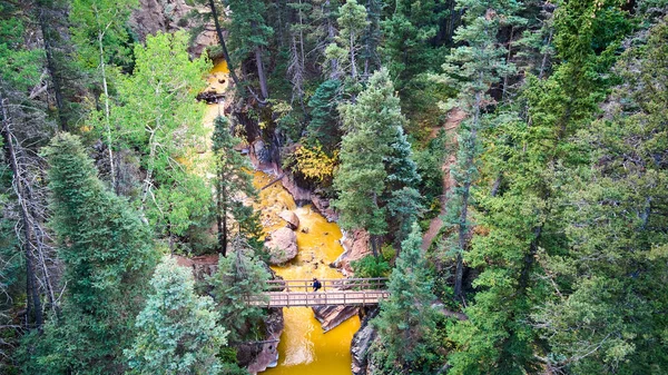 Bosque de pinos con río amarillo vibrante y puente peatonal con excursionista — Foto de Stock