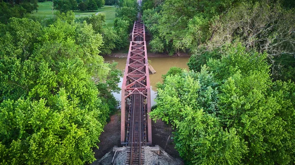 緑の木と茶色の川を渡る列車のための紫色の金属製の橋の空中 — ストック写真