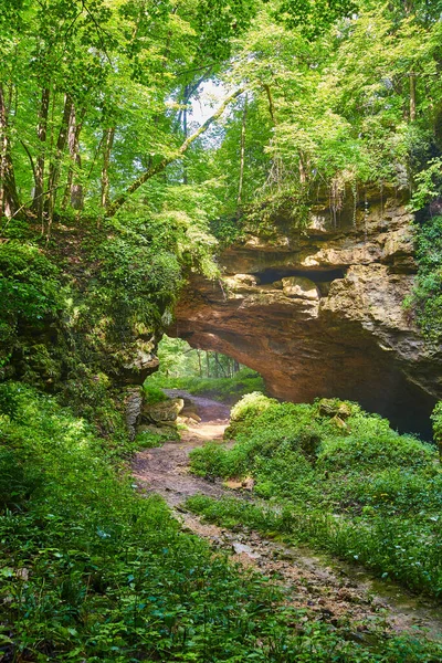Floresta exuberante com trilha através de um túnel de pedra natural — Fotografia de Stock