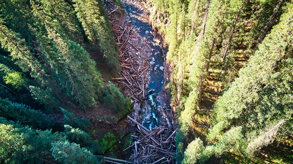 Aerea di danni da incendio boschivo di fiume pieno di grandi tronchi lavati giù — Foto Stock