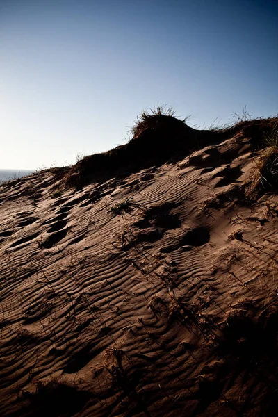 Dramatyczne wczesnym rankiem oświetlenie wydmy piaskowej — Zdjęcie stockowe