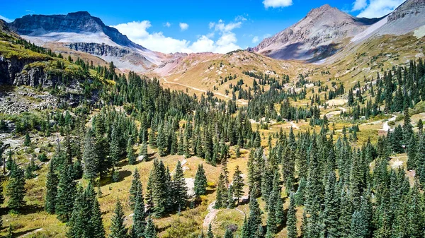 Rock Mountains in Amerika met pijnbomen en bergtoppen — Stockfoto