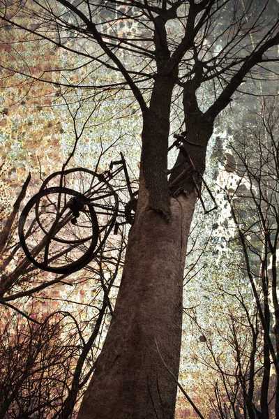 Grande árvore com armadilha de gaiola pendurada com fundo de textura ferrugem áspera — Fotografia de Stock