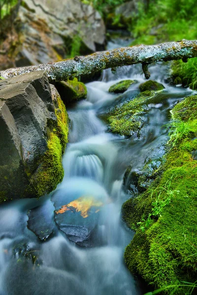 Krásný close-up malé řeky přes mechem porostlé skály a barevné klády — Stock fotografie