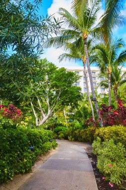 Tropikal bahçelerde yürüyüş