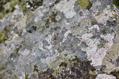 Desenli ve çok renkli kaya arkaplanı