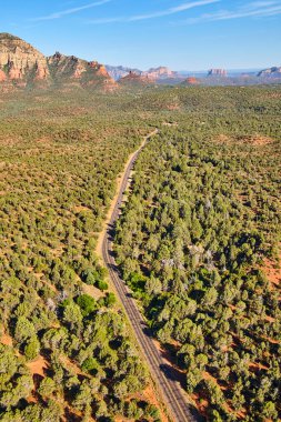 Çölün vadisinde yol ağaçlar ve dağlarla çevrili.