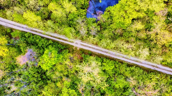 Blick aus der Luft auf lebhaften grünen Wald mit einfacher Schotterstraße — Stockfoto