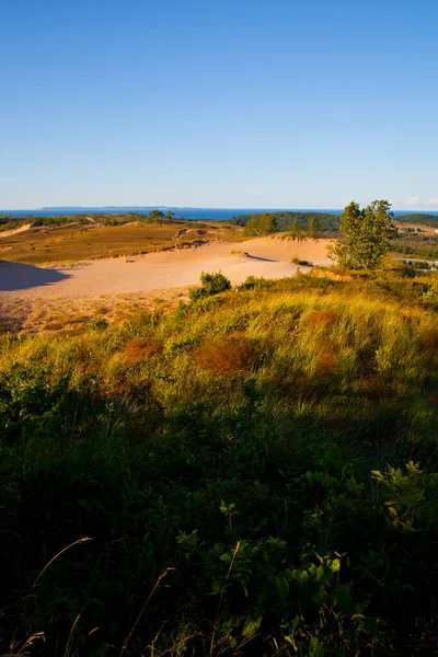 Зеленый пляж с видом на песчаный пляж и голубое небо — стоковое фото