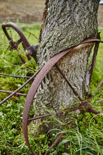 Barna rozsdás kocsi kerék és mezőgazdasági alkatrészek támaszkodik egy régi fa, amely elkezdett nőni a fém körül — Stock Fotó