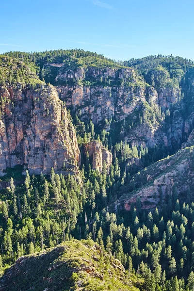 Montagne rocciose verticali aeree con pini — Foto Stock