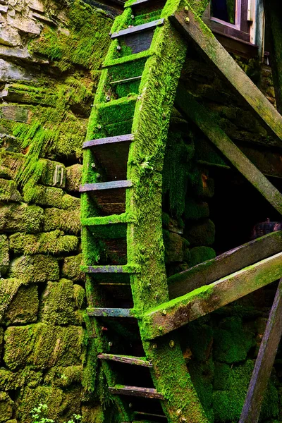 Деталь водяной мельницы вертикально покрыта зеленым мхом — стоковое фото