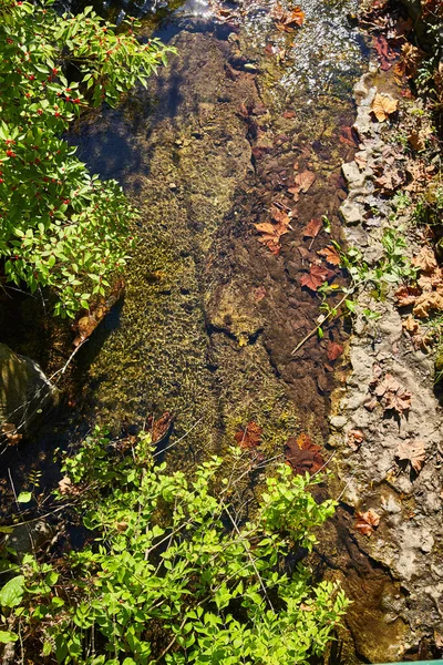 Blick über das Flusswasser mit Steinen, Fallblättern und Beerensträuchern — Stockfoto