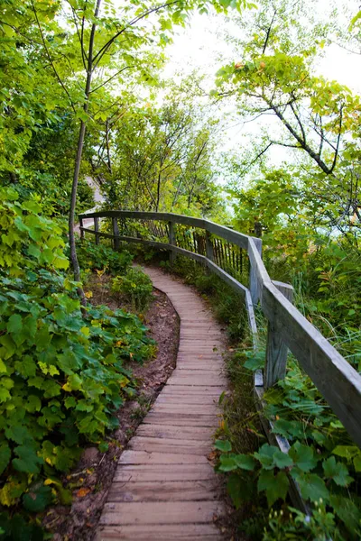 Geschwungene Holzbrücke im grünen Wald führt tiefer — Stockfoto