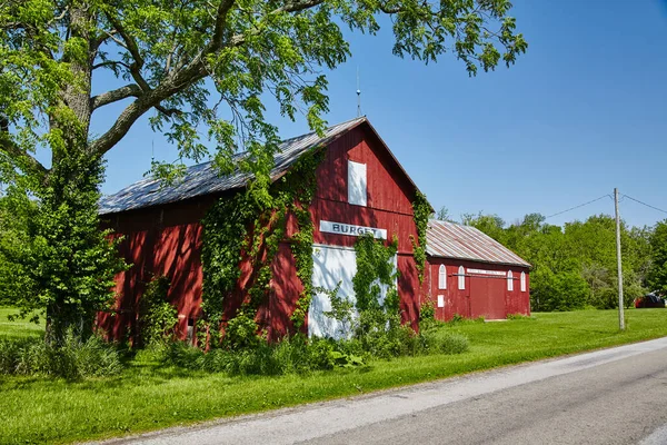 Fazenda vermelha e branca e celeiro no lado da estrada ao lado de algumas árvores pitorescas — Fotografia de Stock