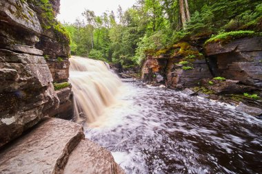 Şelale, büyük liken ve yosunlu kaya yüzeylerine karşı boğazı kesiyor.