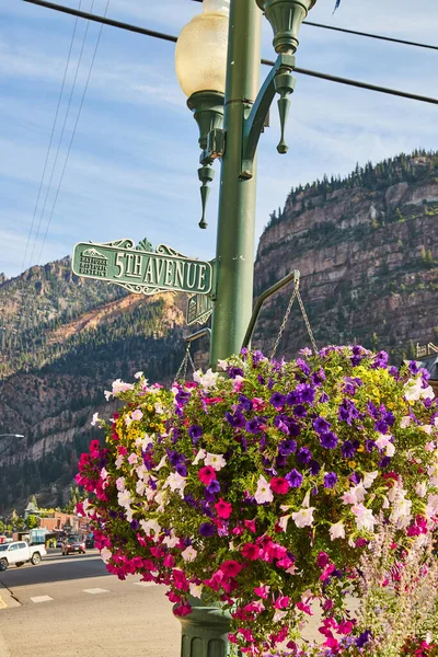 Flores penduradas em plantador de poste de luz com sinais de estrada e montanhas no fundo — Fotografia de Stock