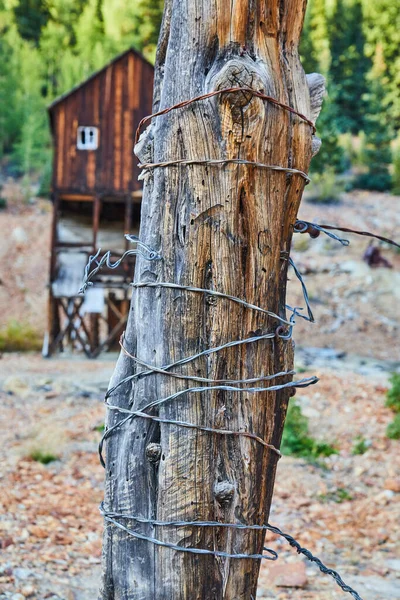 Puu runko kääritty metallilanka vanha puunlouhinta rakenne taustalla — kuvapankkivalokuva