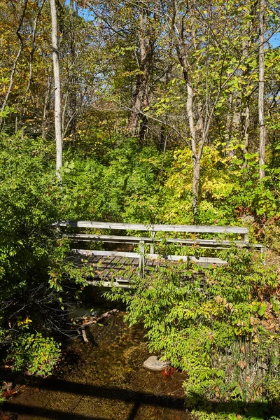 Прогулочный мост через небольшой ручей в зеленом лесу — стоковое фото
