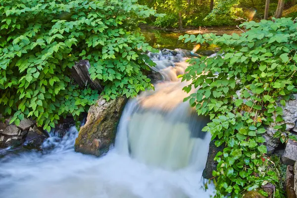 Pequena cachoeira sobre escombros com arbustos verdes — Fotografia de Stock