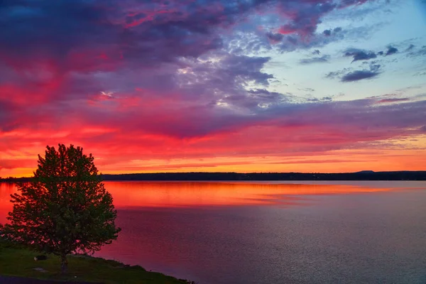 Pôr-do-sol vibrante vermelho e laranja sobre o lago com árvore solitária — Fotografia de Stock