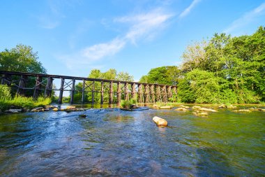 Arka planda uzun demiryolu köprüsü olan ormanda açık nehir