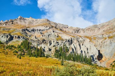 Gri kayalardan, sarı çöl bitkilerinden ve çam ağaçlarından oluşan güzel bir dağ manzarası.