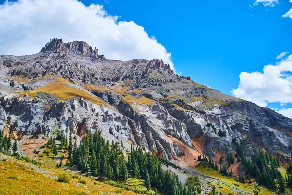 Kleurrijke gele en grijze bergketen piek met pijnbomen — Stockfoto