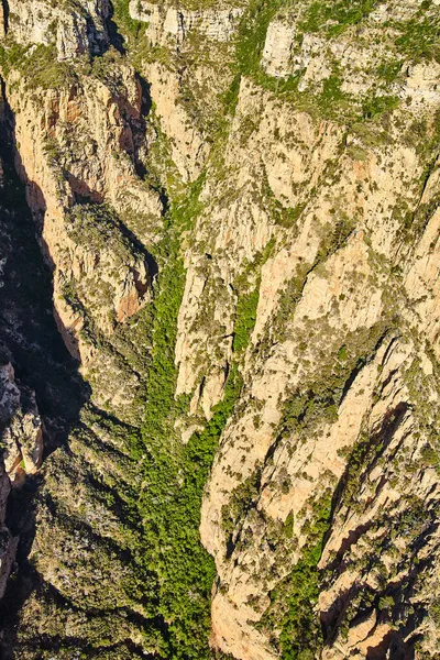 Dolina lotnicza w górach z sosnami — Zdjęcie stockowe