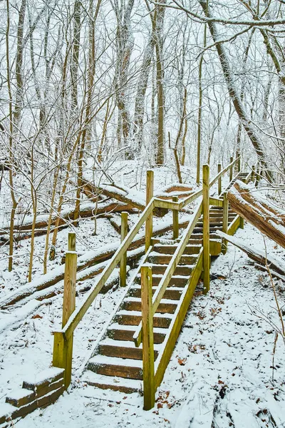 Escaleras de madera que suben por la ladera en invierno con árboles cubiertos de nieve —  Fotos de Stock