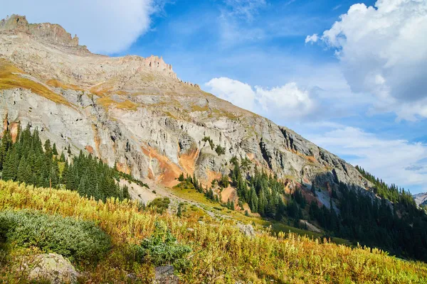 Bergtoplandschap met pijnbomen, kleurrijke woestijngroei en grijze rotsen — Stockfoto