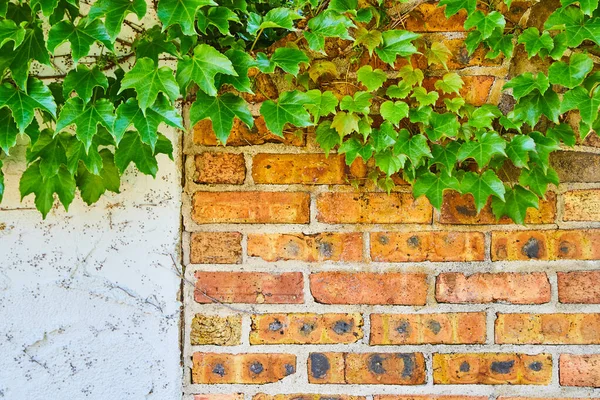 Punainen tiili ja kipsi seinä ylös lähellä vihreä muratti — kuvapankkivalokuva