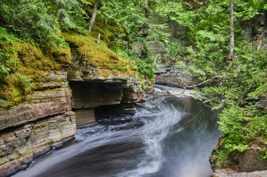 Güzel vadideki hızlı akan nehir yosun tabakaları ve yemyeşil ormandaki yosun parçalarıyla.