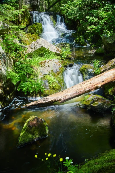 Vodopády vedoucí dolů po řece s padlým stromem a mechem — Stock fotografie